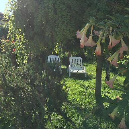 B&B A Casa Di Picci Santa Domenica  Exteriör bild