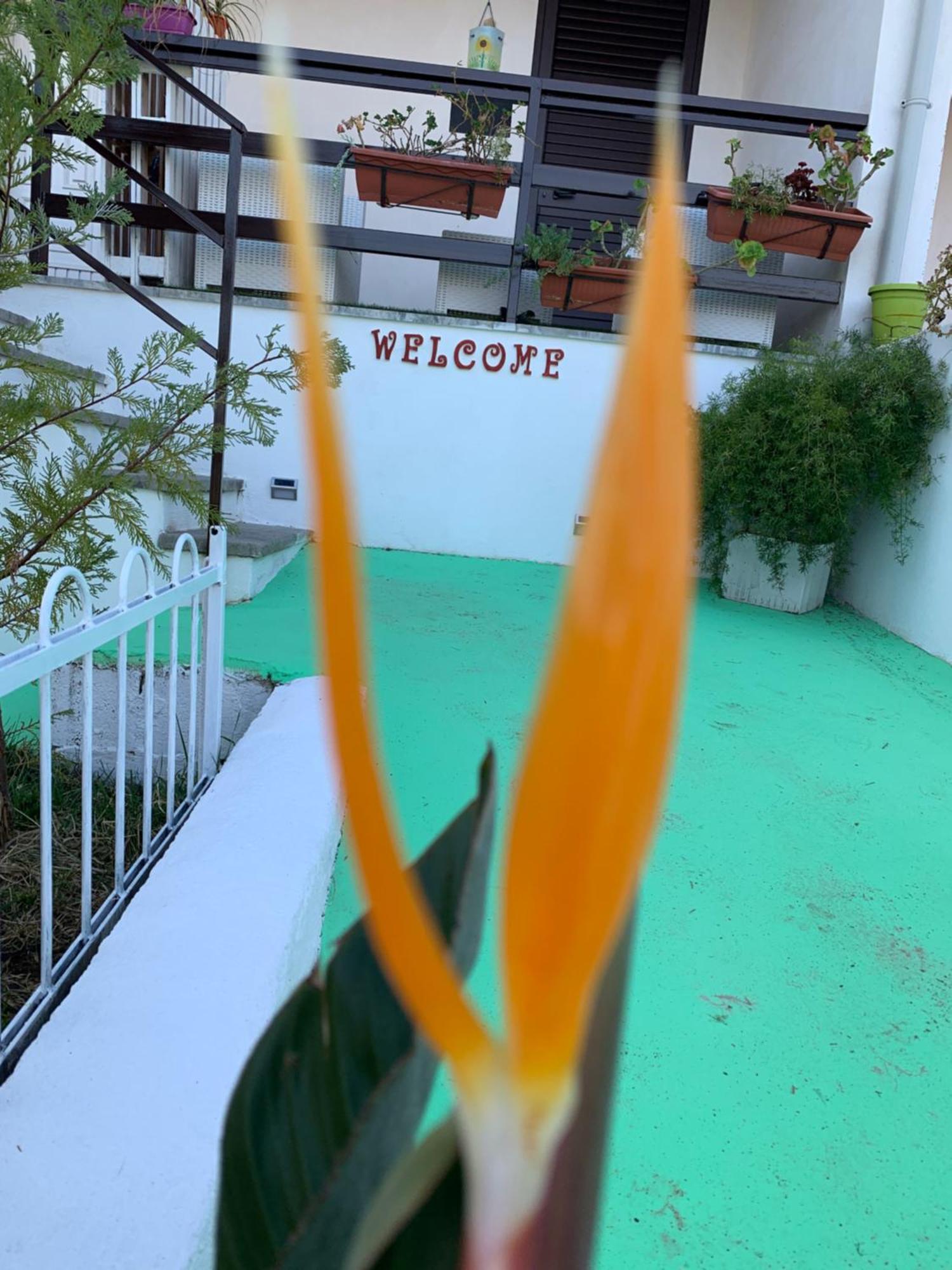 B&B A Casa Di Picci Santa Domenica  Exteriör bild