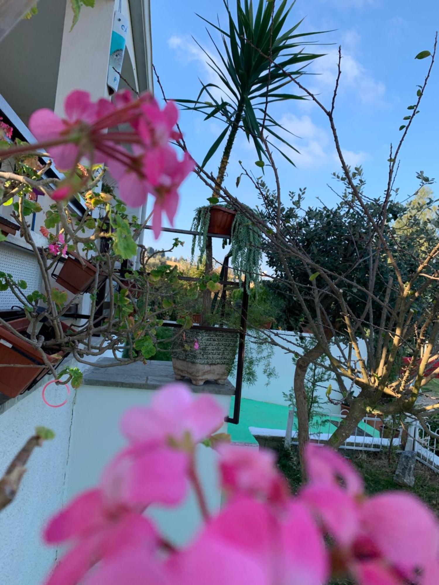 B&B A Casa Di Picci Santa Domenica  Exteriör bild