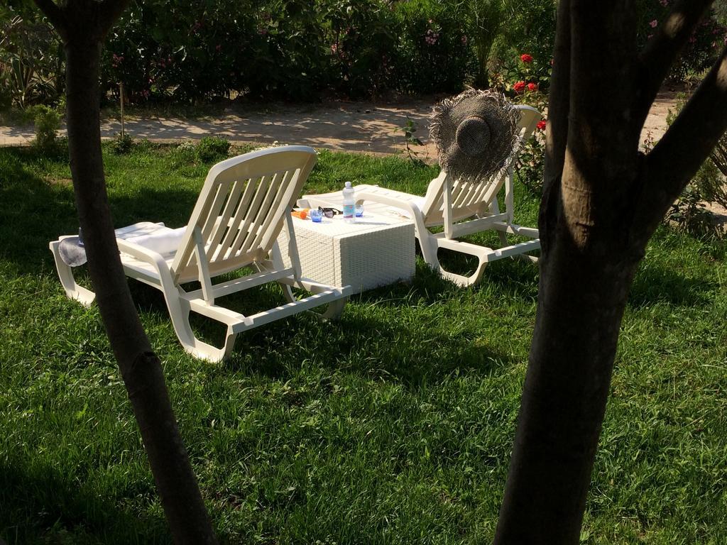 B&B A Casa Di Picci Santa Domenica  Exteriör bild