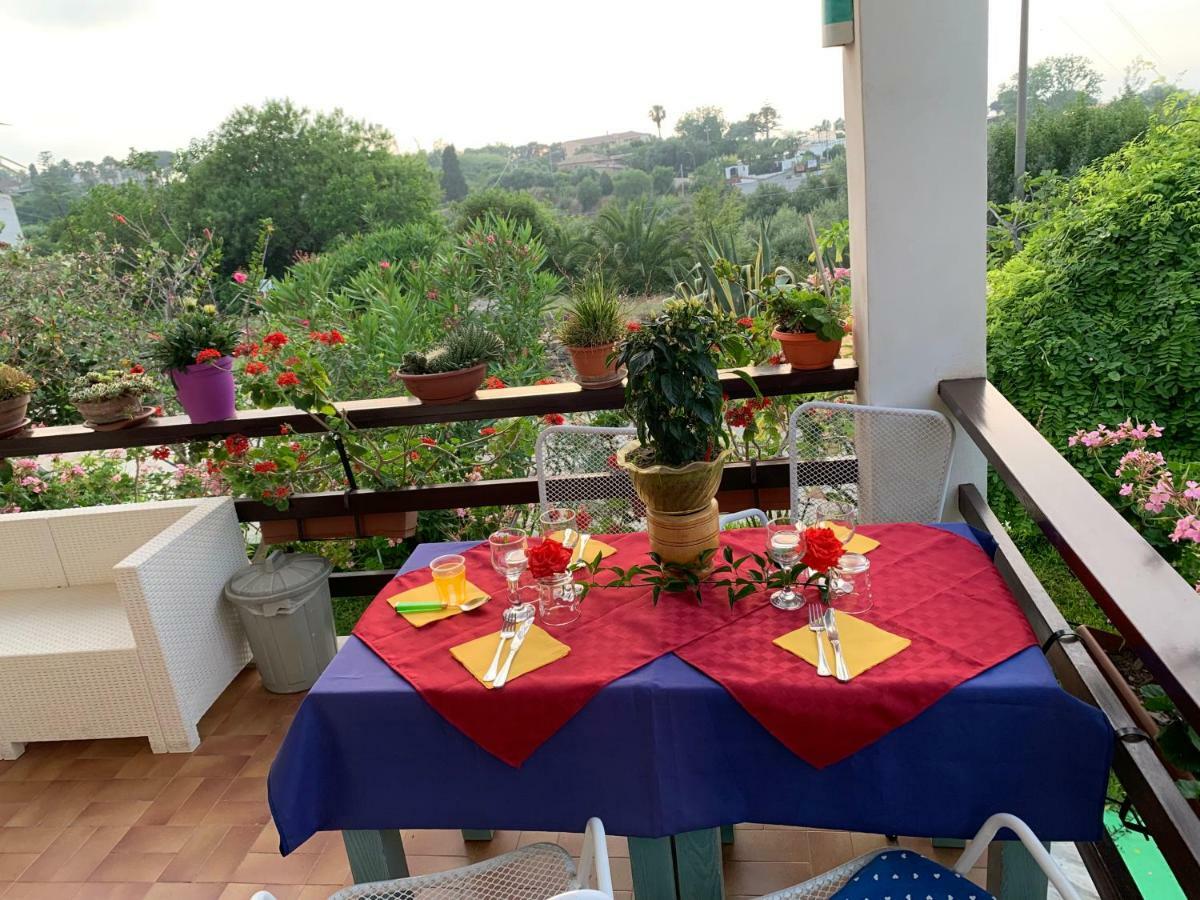 B&B A Casa Di Picci Santa Domenica  Exteriör bild
